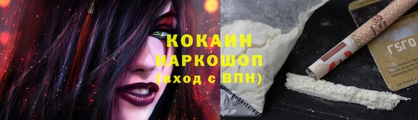 крисы Беломорск