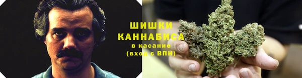 дживик Белоозёрский