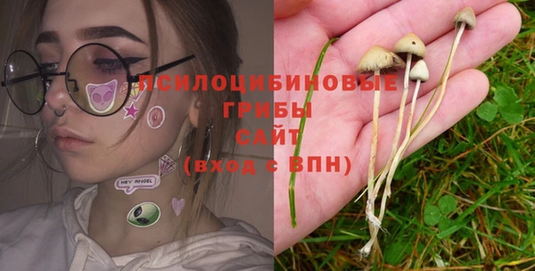 каннабис Белокуриха