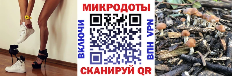 Галлюциногенные грибы Magic Shrooms  Дятьково 